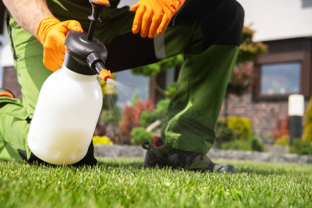 Best Affordable Pest Control Services  in Kings Beach, CA
