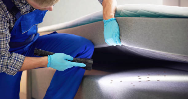 Best Local Pest Control Services  in Kings Beach, CA
