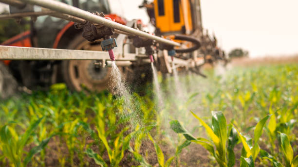 Best Mosquito Control Services  in Kings Beach, CA